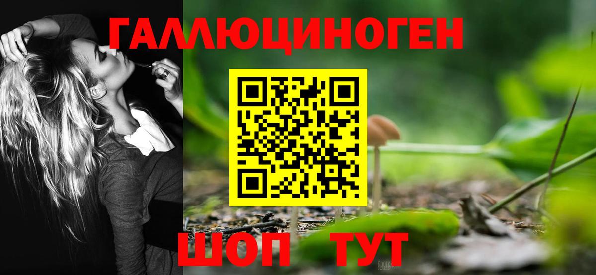 Псилоцибиновые грибы Psilocybe  Вход с VPN  Аксай 
