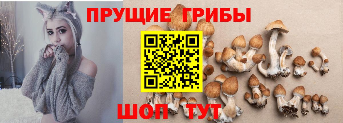 Галлюциногенные грибы прущие грибы Аксай